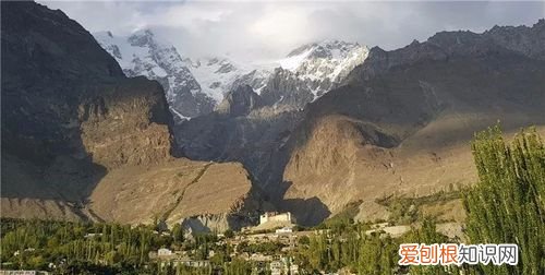 巴基斯坦的由来，阿富汗印度巴基斯坦的由来