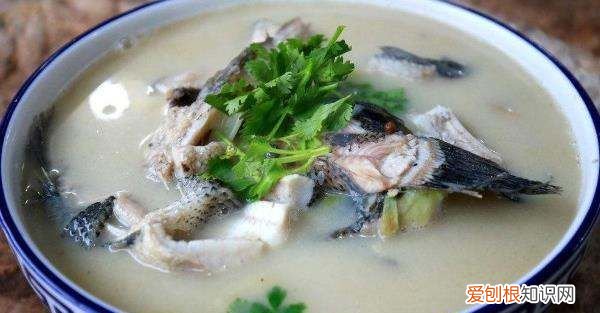 鱼怎么煮才会又浓又白