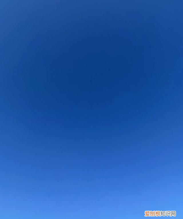 容易读错的单音字 容易读错的108个多音字