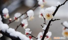 岁寒三友苏轼表示自信的词语是,岁寒三友苏轼表示自信的成语是