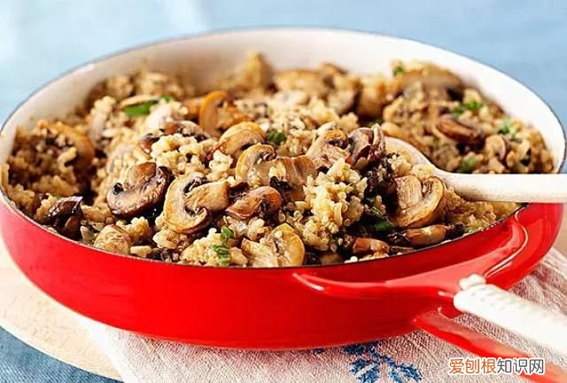 蘑菇竟有这么多鲜为人知的秘密