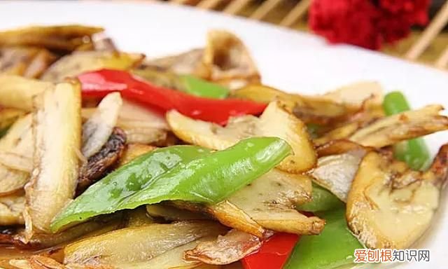 蘑菇竟有这么多鲜为人知的秘密