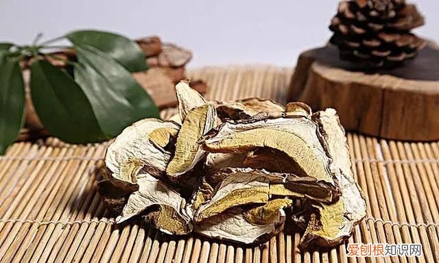 蘑菇竟有这么多鲜为人知的秘密