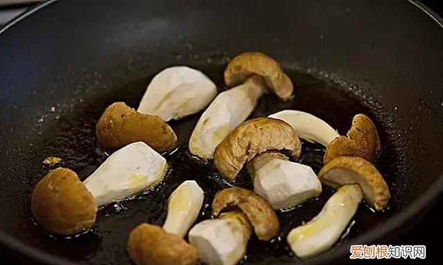 蘑菇竟有这么多鲜为人知的秘密