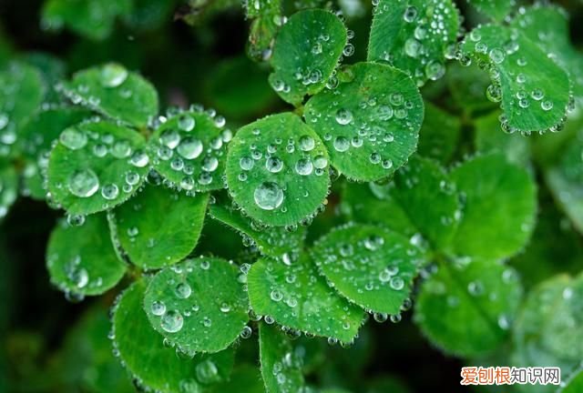 下雨天心情不好的心情经典句子