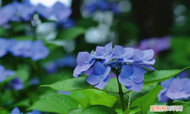 下雨天心情不好的心情经典句子
