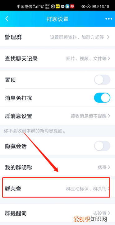 手机qq怎么设置不显示等级，手机QQ如何设置显示群成员头衔