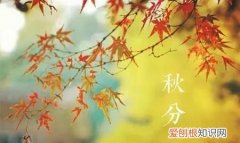 秋分节气的主要特点是什么