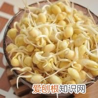 自发黄豆芽的做法步骤 自制黄豆芽