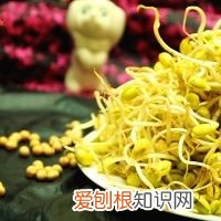 自发黄豆芽的做法步骤 自制黄豆芽