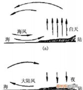 风的特点是什么，风的结构是什么