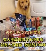 宠物博主让狗当大胃王怎么回事 宠物博主让狗当大胃王