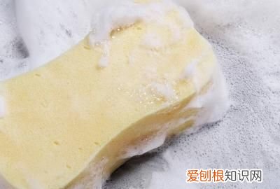 蟑螂怎样彻底消灭,怎样才能彻底消灭小强