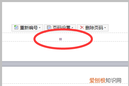 如何添加页码罗马数字，如何插入罗马数字的页码