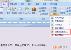 如何添加页码罗马数字，如何插入罗马数字的页码