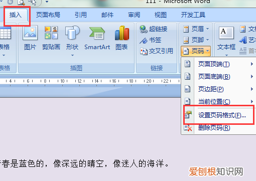 如何添加页码罗马数字，如何插入罗马数字的页码
