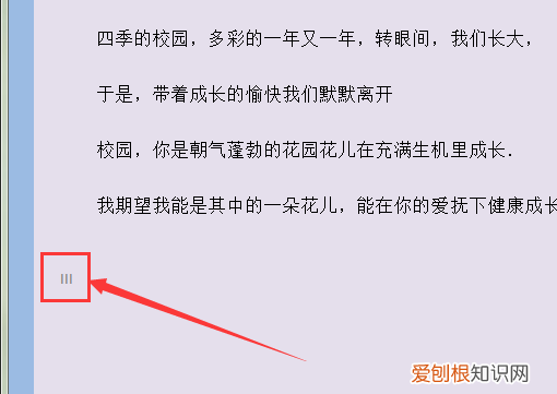 如何添加页码罗马数字，如何插入罗马数字的页码