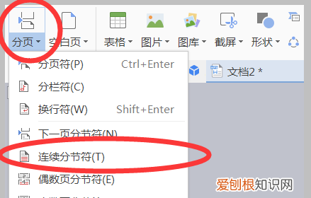 如何添加页码罗马数字，如何插入罗马数字的页码