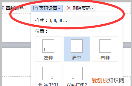 如何添加页码罗马数字，如何插入罗马数字的页码