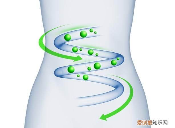 如何加快新陈代谢