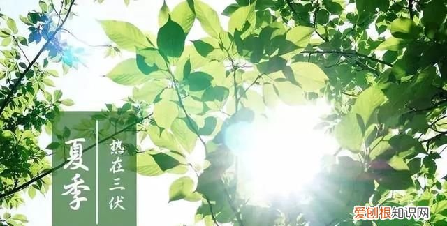 庚时是几点到几点，伏天是什么时候开始的