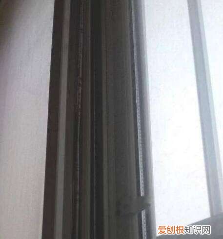 如何防止纱窗缝进虫子