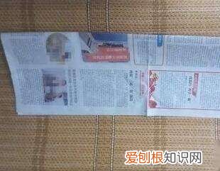 如何防止纱窗缝进虫子