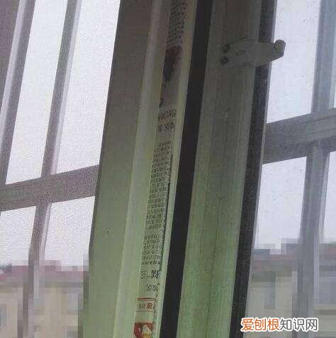 如何防止纱窗缝进虫子