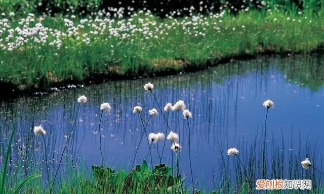 贺铸南歌子疏雨池塘见 贺铸最著名的诗词十首