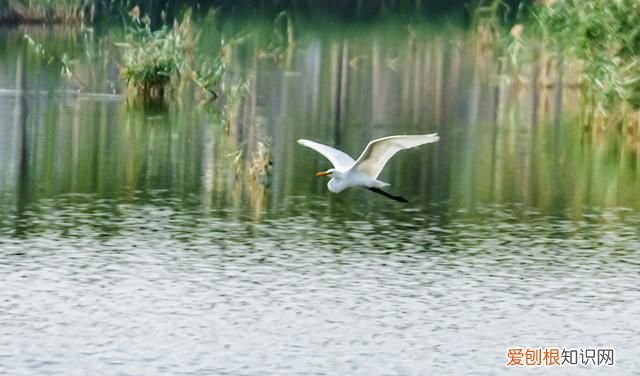 贺铸南歌子疏雨池塘见 贺铸最著名的诗词十首