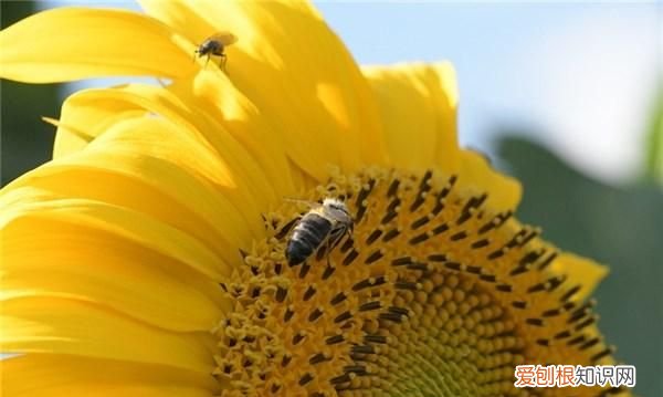 积极向上正能量的句子可复制,工作积极向上正能量励志短句