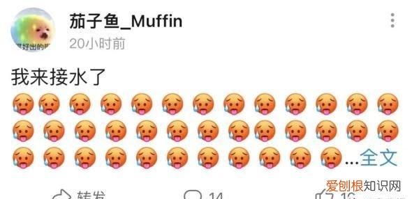 傣族泼水节需要注意什么 傣族泼水节游客要注意什么