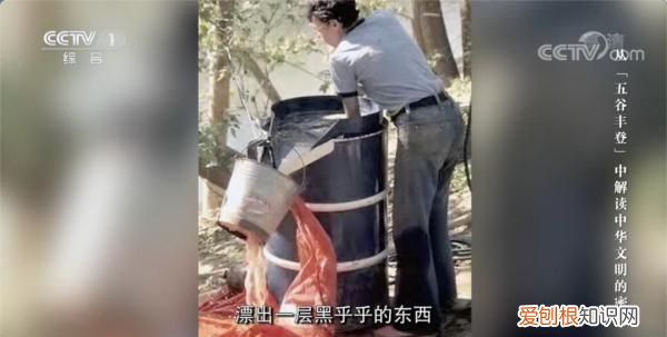 日常吃的五谷藏着多少秘密