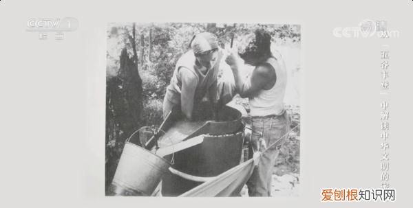 日常吃的五谷藏着多少秘密