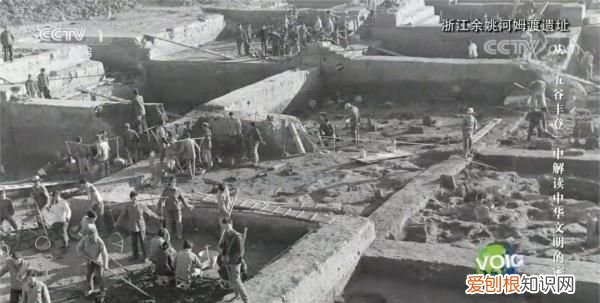 日常吃的五谷藏着多少秘密