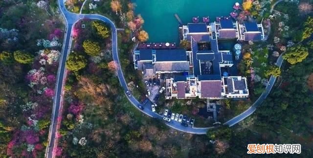 杭州美食，杭州官宣：这196个点值得去，这150道“超级美食”必打卡！这个冬日还有一大大大波优惠