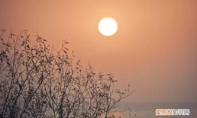 李商隐无题诗十六首大全,李商隐的千古绝句全诗