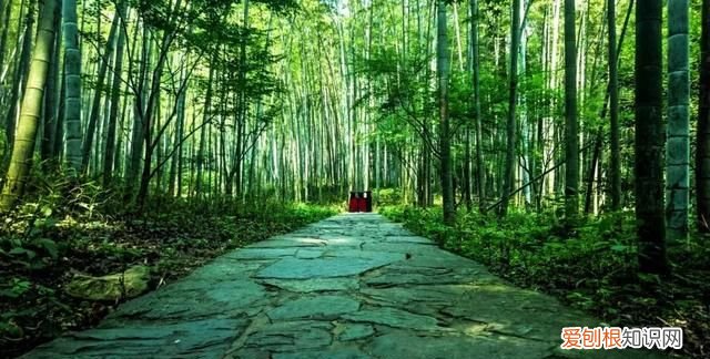 李商隐无题诗十六首大全,李商隐的千古绝句全诗