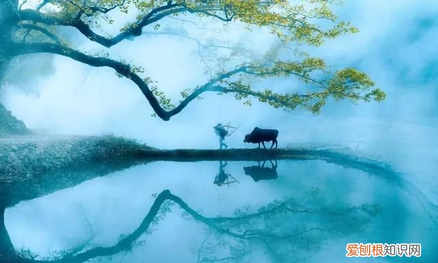 李商隐无题诗十六首大全,李商隐的千古绝句全诗