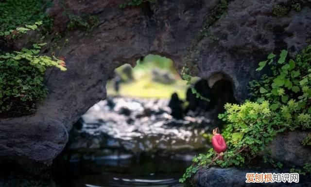 李商隐无题诗十六首大全,李商隐的千古绝句全诗