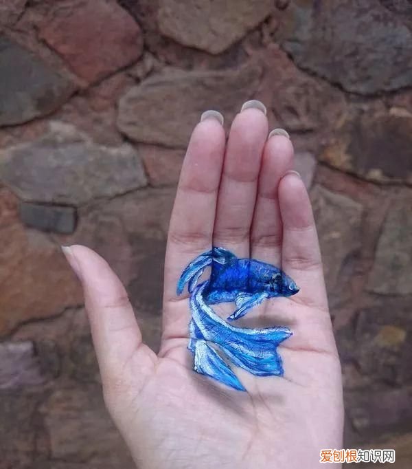 分开的分怎么组词,分开的拼音和组词