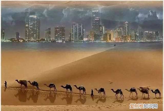 分开的分怎么组词,分开的拼音和组词