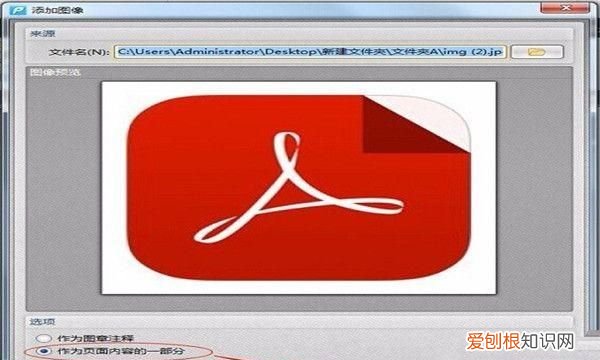 在pdf里面插入的方法是什么