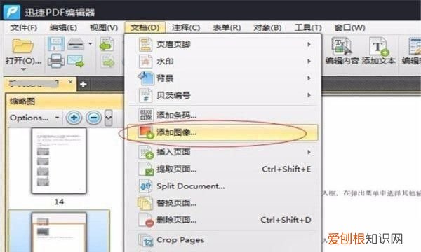 在pdf里面插入的方法是什么