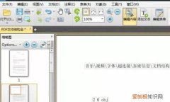 在pdf里面插入的方法是什么