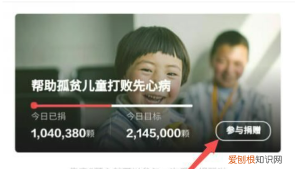 支付宝小鸡捐献爱心等级,蚂蚁庄园上可以怎样捐赠爱心