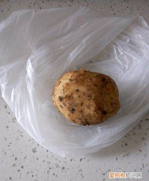 火腿炒土豆怎么做，土豆炒火腿的家常做法大全