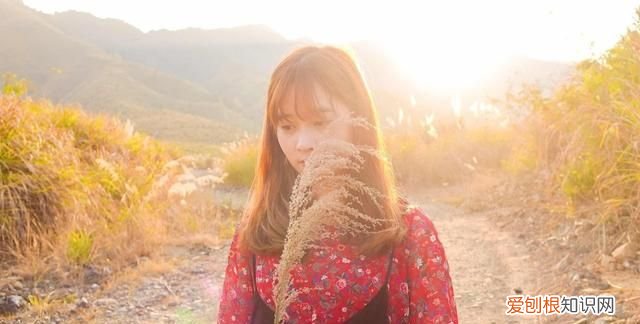 人生如梦蓦然回首万事空,嬉笑怒骂是生活什么意思