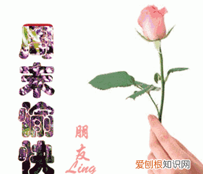 一年之计在于春,一天之计在于晨,所有的美好从清晨开始