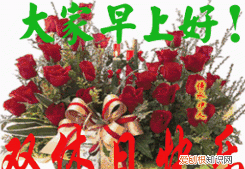 一年之计在于春,一天之计在于晨,所有的美好从清晨开始